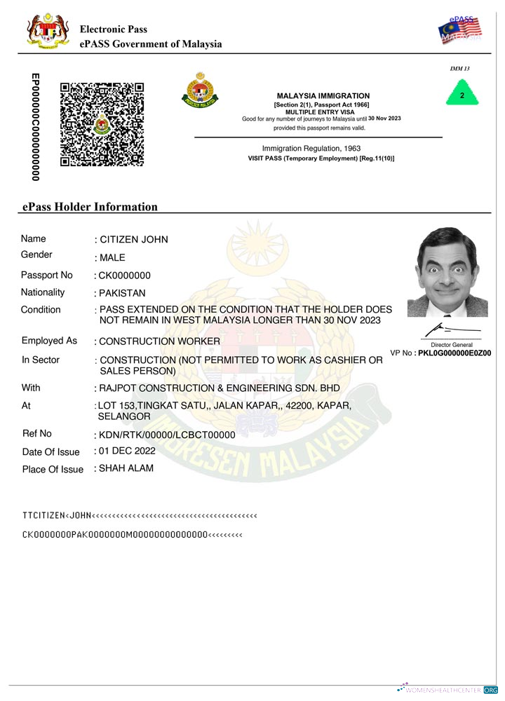 Download MALAYSIA e pass entry visa Photoshop template